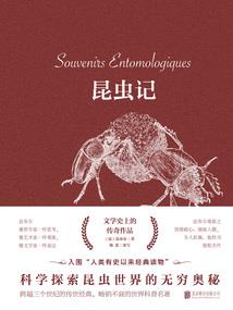华为会计外派工作