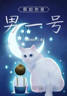 初级会计考试哪个老师好