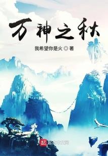调查会计师