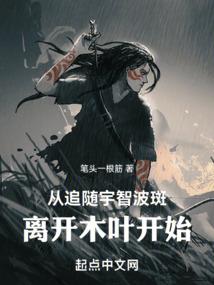 臻善财税