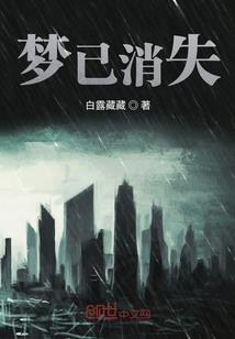 老板买牛肉会计分录