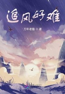 镇江会计斗鱼id是