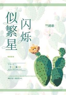 税智财税咨询