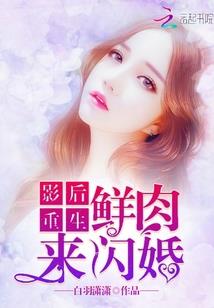 独资会计师事务所
