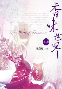 红光公司会计王某