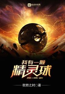 静安区专业财税案例