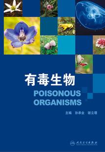 郑州注册会计师招聘信息