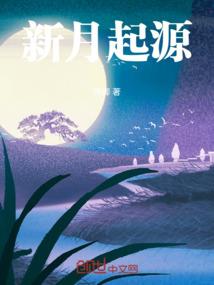 注会考试设计会计科目
