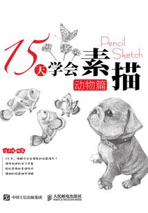 中级会计师成绩查询窗口