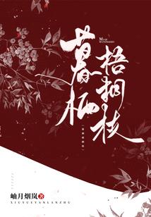 注册会计师学习太慢