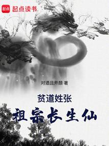 宁波金宸财税