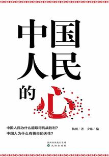 财政+项目申报