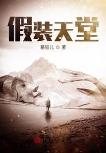 邢台会计师多少钱