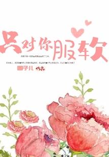 猫猫会计师