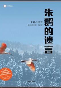 从事会计师行业职位