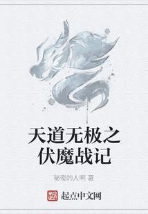初级会计可以带书吗