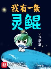 羊口会计