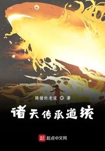 高级会计师登录不用密码