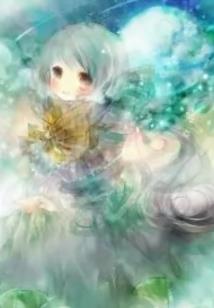 小白财税咨询