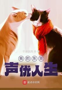 领君财税