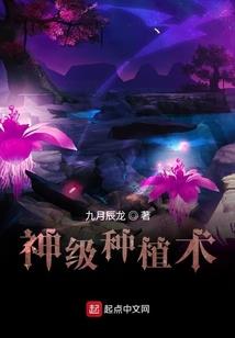 山东会计软件哪个好用点