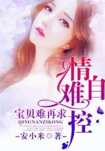 会计师指标定义是什么