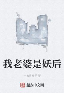 审计认定分类东奥