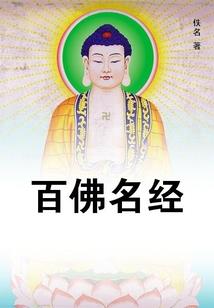 中级会计师的经济法规
