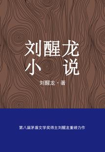 财政收紧无法立项