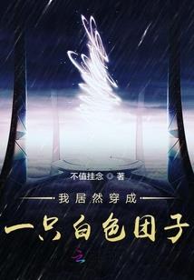 cpa东奥经济法名师