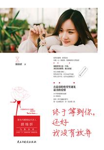 财税形象设计