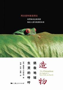 华人会计师推荐理由简短