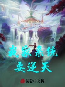 中国财税交流