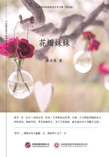 燕子中级会计课件