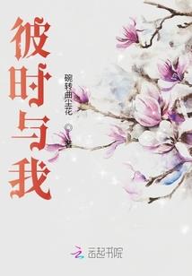 财税顾问的工资