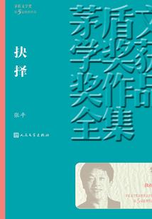 财税胶囊