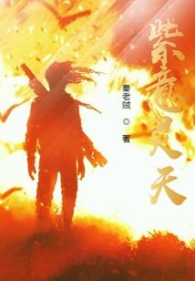 不实行免抵退的会计分录