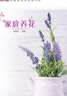 徐亚平淮安市财政局