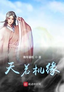 财税软件内容