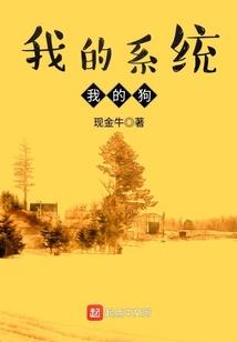 注册会计师田光耀简介