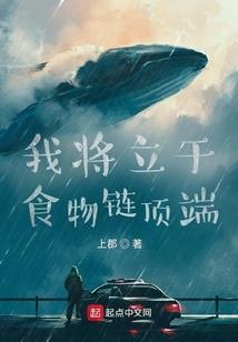 国企高级会计师业绩