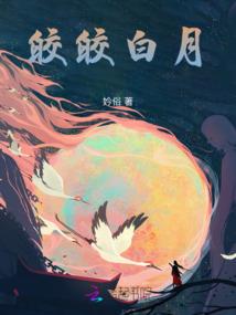 红桥财税价格走势