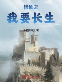 财税系统搭建