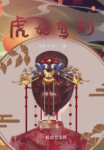 ppp模式会计处理