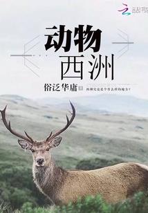 小企业财税顾问价格