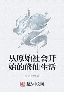 会计师谈恋爱视频