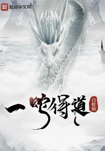人与会计的关系