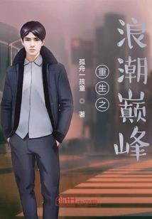 初级会计实务之账簿