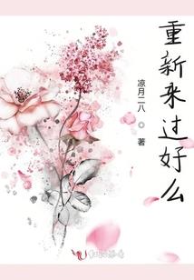 统计局会计日志