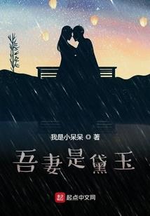 财政资金资本化是什么